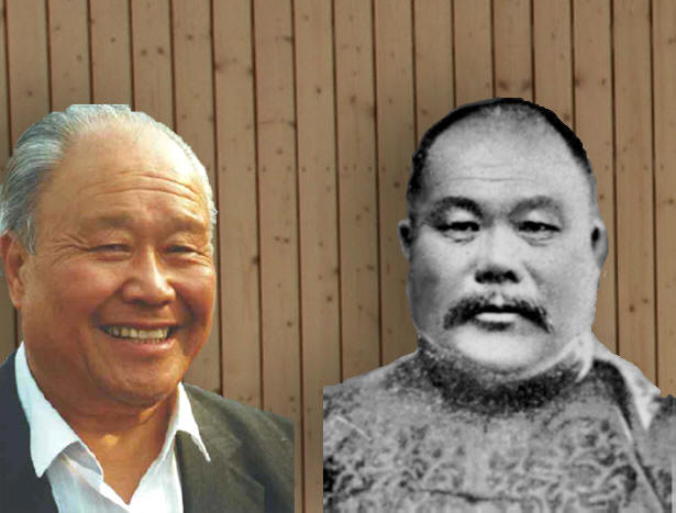 Tai Chi Principles compared to Shindo Yoshin Ry Internals